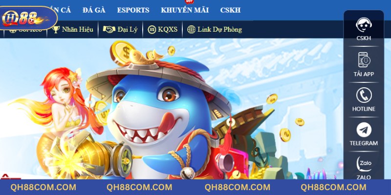 Truy cập trang web và chọn kênh kết nối phù hợp nhất