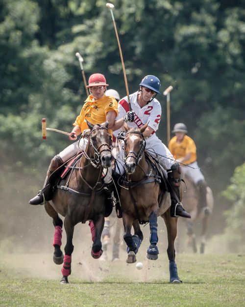 Téléchargement de l'application d'agent Abu King