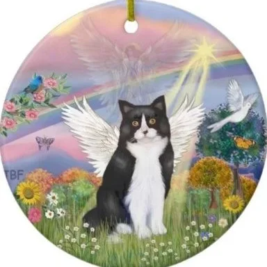 indianas quest echtes Geld