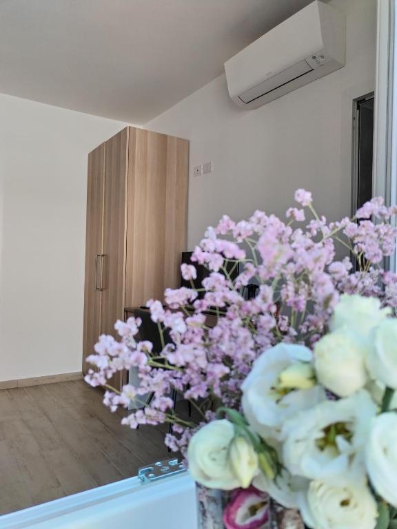 no deposit bonus dreams casino