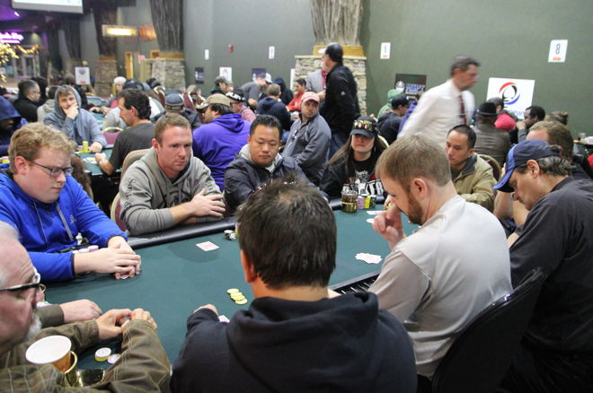 exotic cats slot free spins