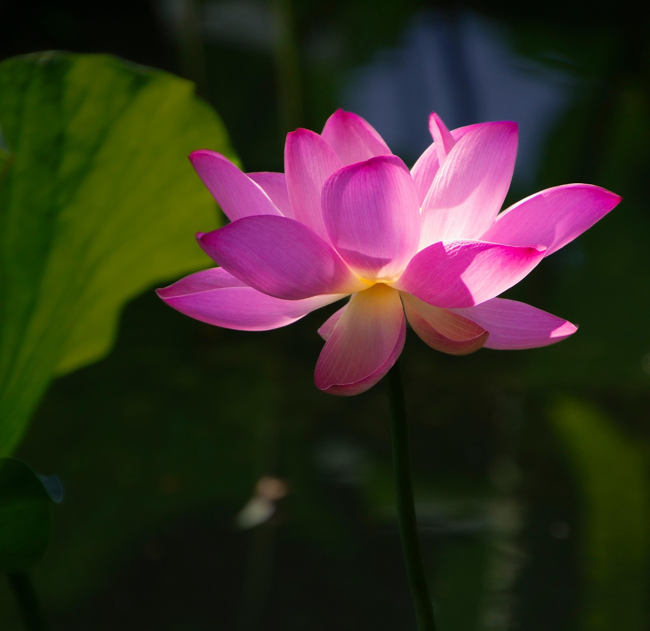 скачать лото клуб кз