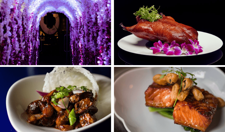 10 no deposit free spins