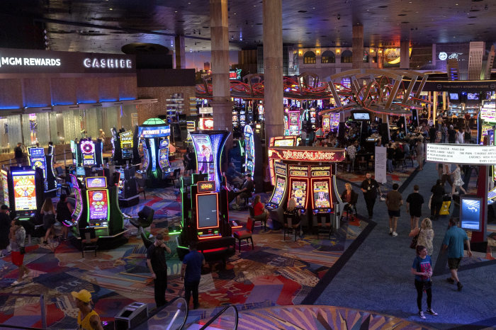 dolphin cash Bewertung