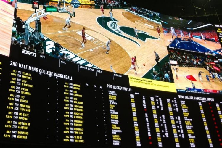 davis cup 2025 live stream