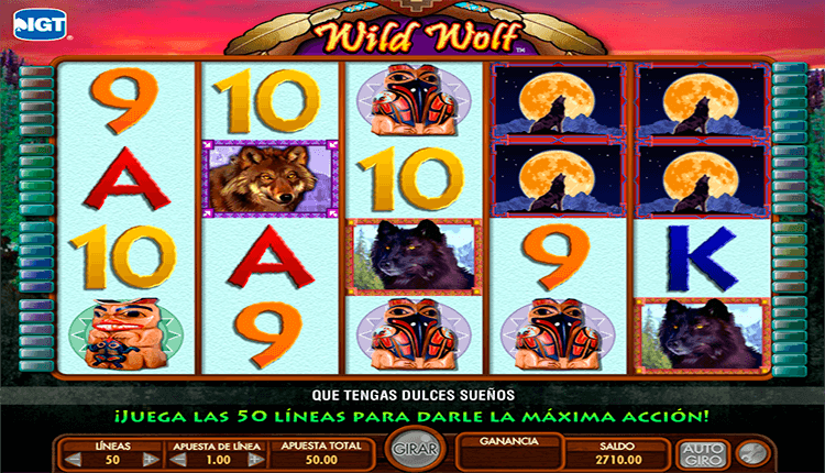 wild dice casino
